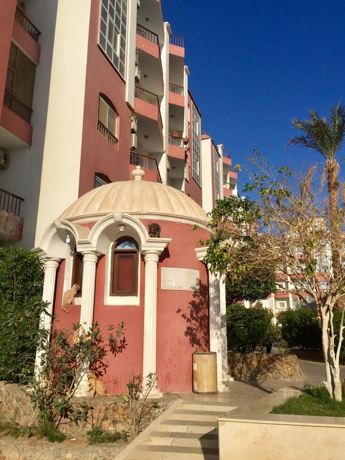 Desert Pearl Apartment 洪加達 外观 照片